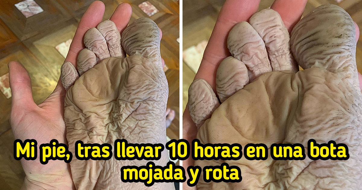 10+ Fotos que demuestran que cualquiera de nosotros puede tener un día difícil