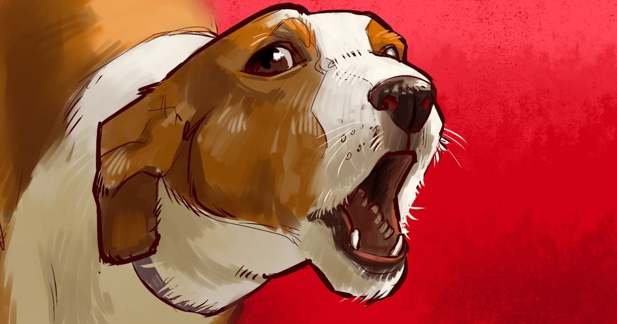 8 Razones por las que tu perro ladra y es mejor que no lo castigues por ello 8 Razones por las que tu perro ladra y es mejor que no lo castigues por ello