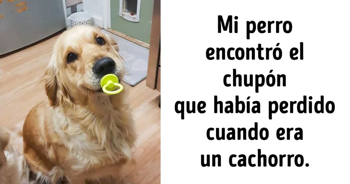 17 Fotos que retratan algo cuya probabilidad es extremadamente baja