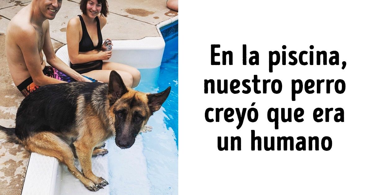 20 Evidencias de que las mascotas cada día se vuelven más parecidas a sus dueños