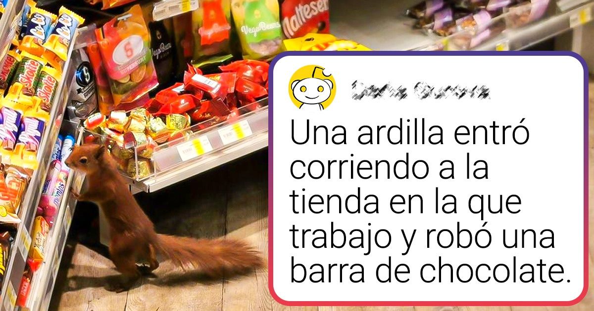 21 Chocantes imágenes con las que se encontraron algunas personas al entrar en una tienda que creían “convencional” 21 Chocantes imágenes con las que se encontraron algunas personas al entrar en una tienda que creían “convencional”