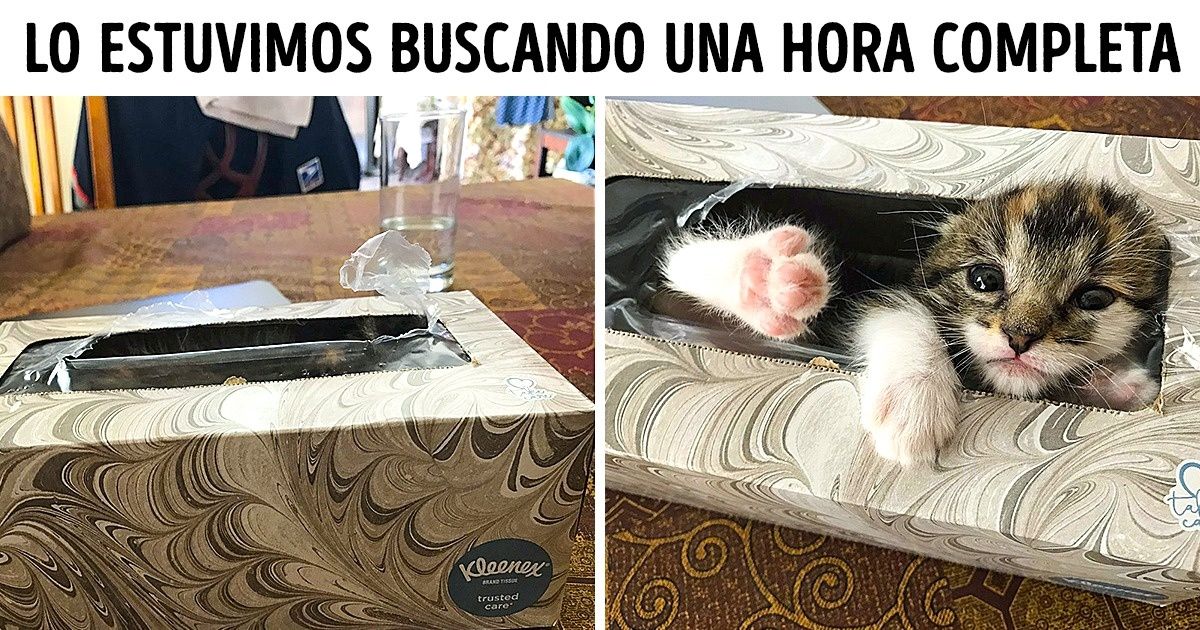 25 Fotografías que conmoverán incluso a aquellos que tienen un corazón de piedra