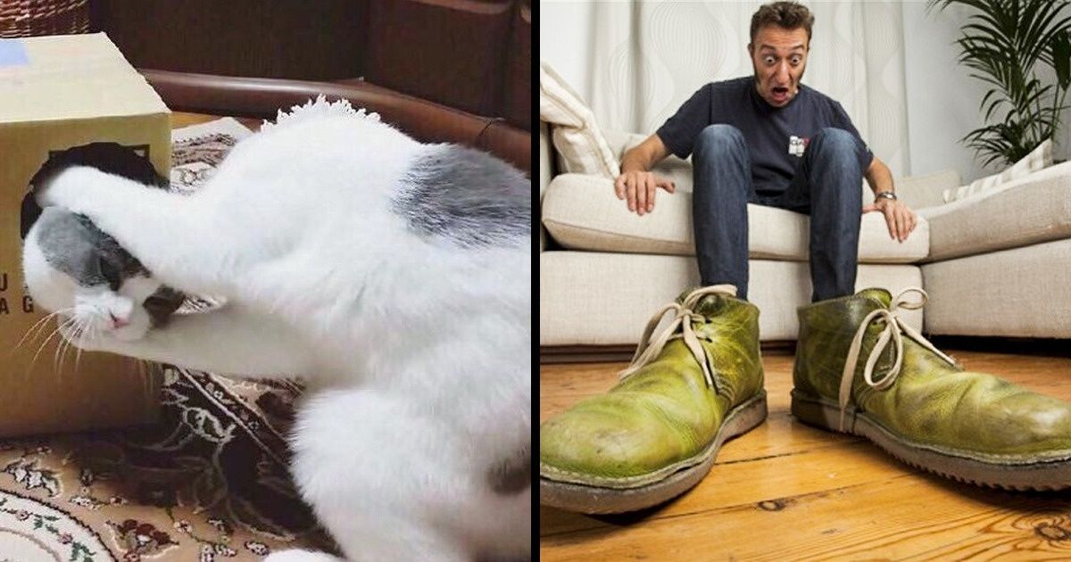 18 Imágenes sin editar que jugarán un poco con tu percepción de las cosas