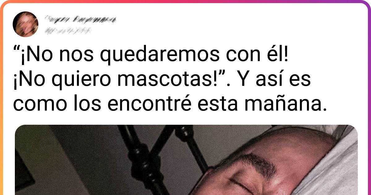 20 Personas nos recuerdan que la frase “No quiero animales en casa” es muy ambigua