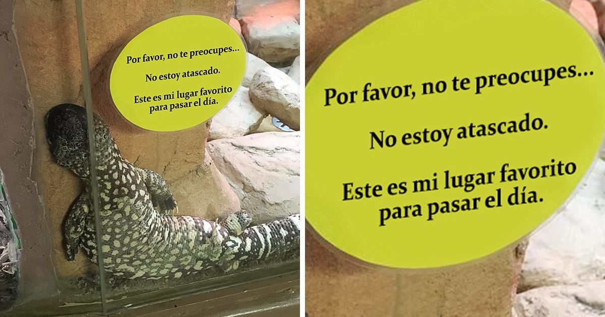 15 Fotos que nos hicieron parpadear un par de veces antes de entenderlas 15 Fotos que nos hicieron parpadear un par de veces antes de entenderlas