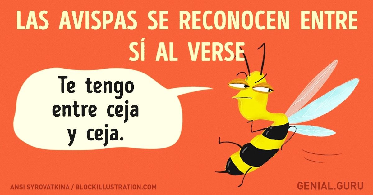 30 Datos de nuestra vida que no se pueden ocultar