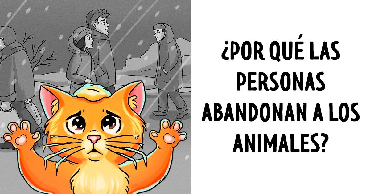 Historia sobre los sentimientos de cada animalito que no tiene un hogar Historia sobre los sentimientos de cada animalito que no tiene un hogar