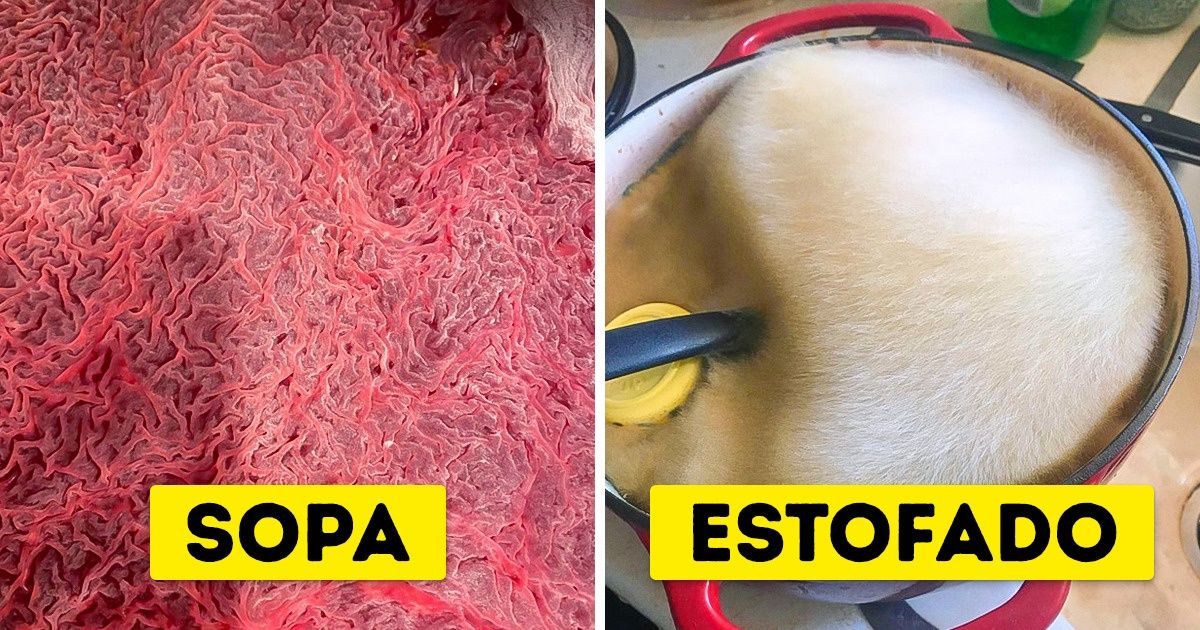 20+ Fotografías que responderían a la pregunta “Qué pasaría si...” en un santiamén