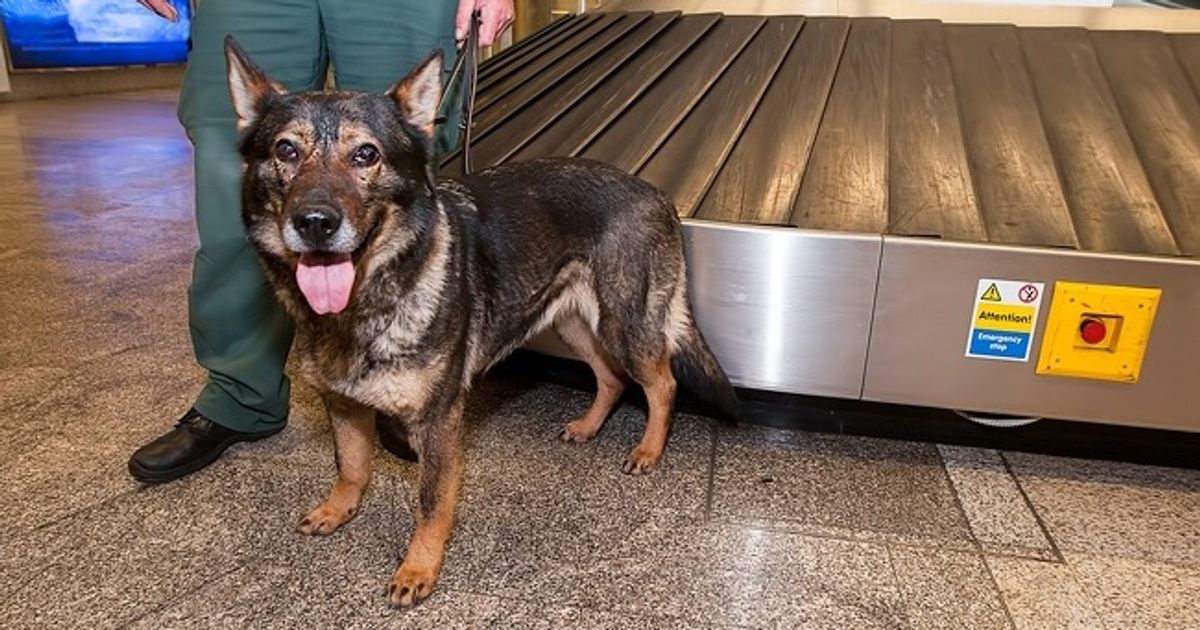 8 Pruebas que el personal de aeropuertos sabe más cosas de nosotros de lo que creemos