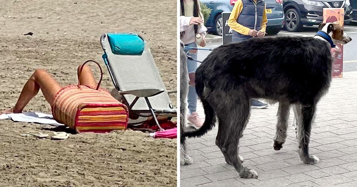 15 Fotos que hicieron que nos preguntáramos “¿Qué demonios?”