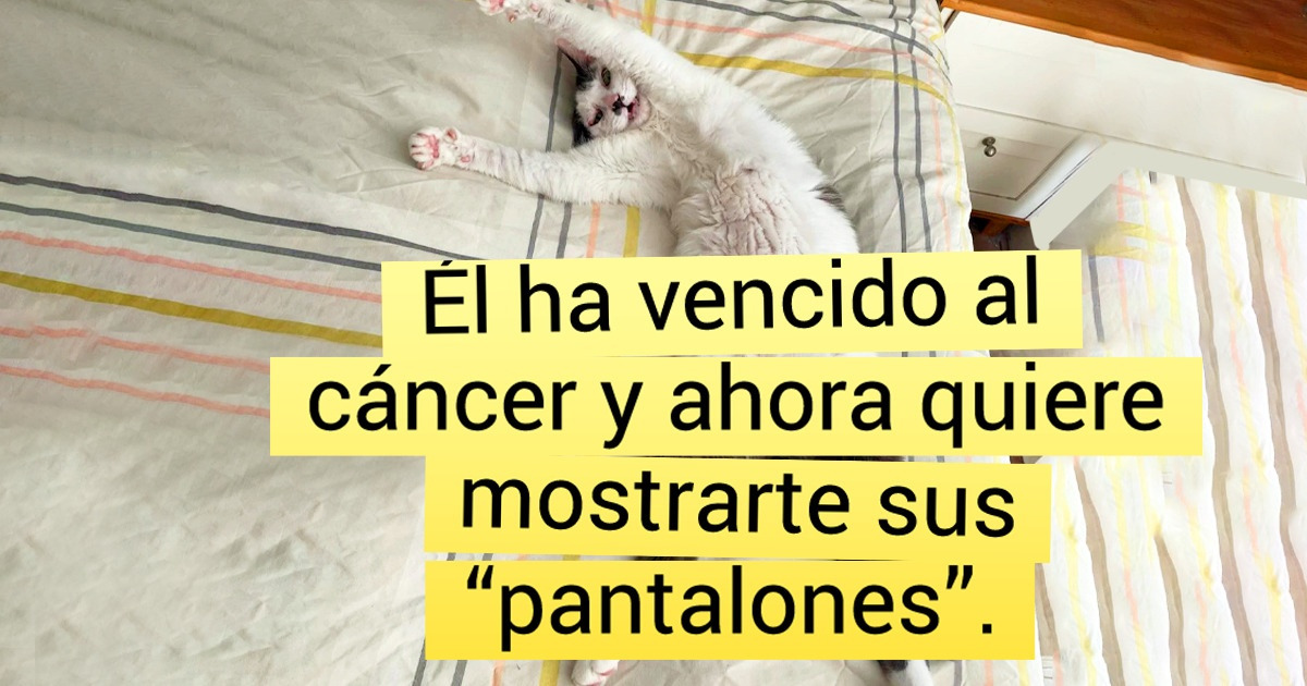 15 Fotos que se convierten en algo nuevo cuando se conocen las circunstancias en las que fueron tomadas