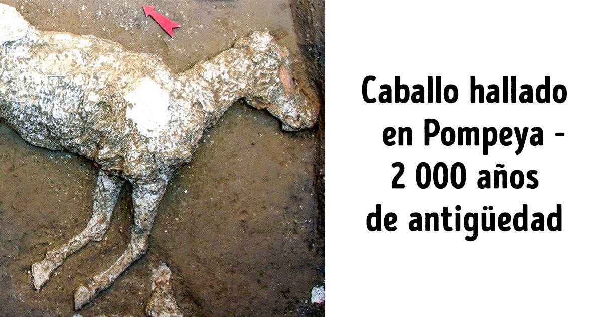 Nuevos descubrimientos arqueológicos que nos ayudarán a entender la historia del mundo mucho mejor Nuevos descubrimientos arqueológicos que nos ayudarán a entender la historia del mundo mucho mejor