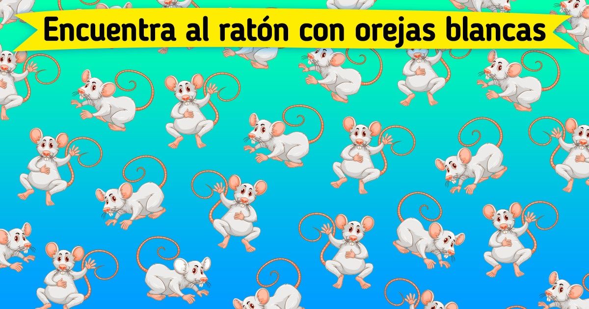 Test: Descubre dónde se oculta el animal intruso