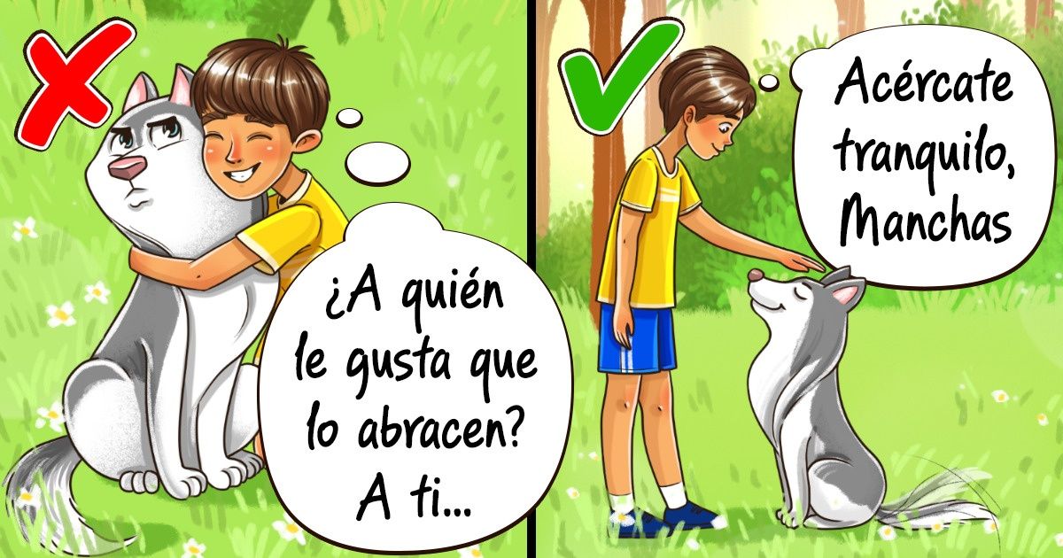 10 Formas en las que podemos estar estresando a nuestro perro (abrazarlo demasiado parece que no le gusta)