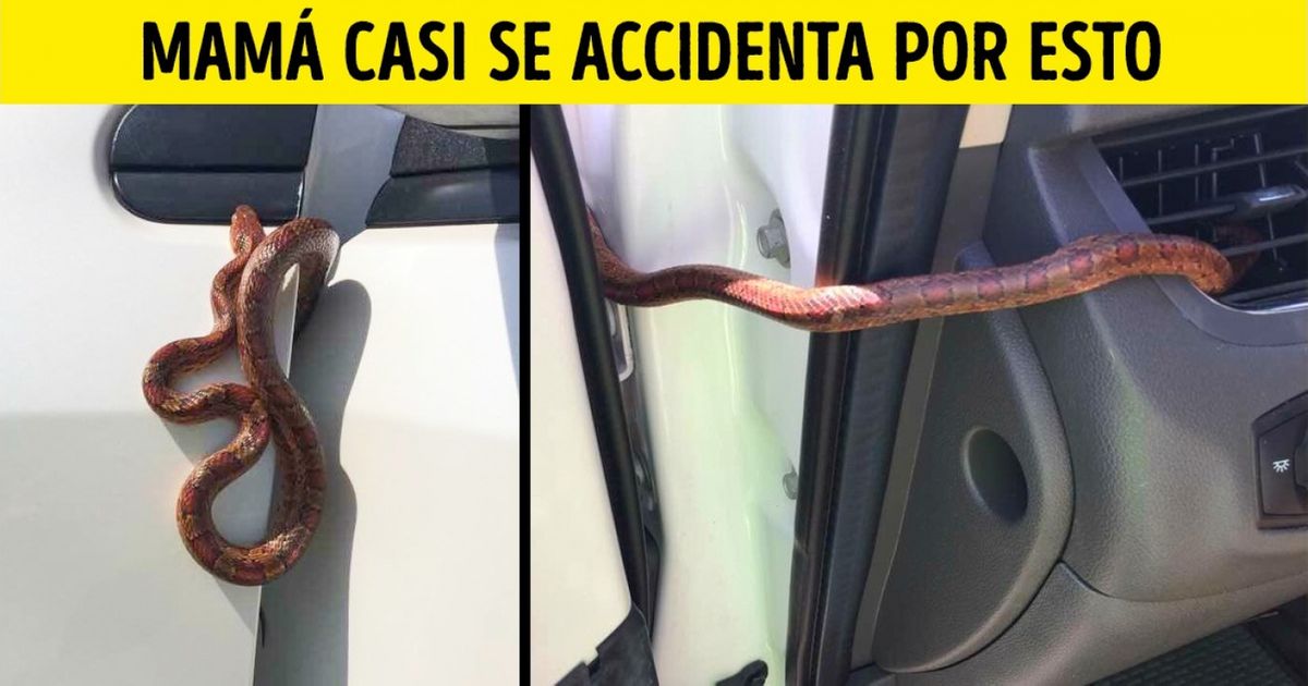 18 Fotos que harían temblar de miedo a cualquiera