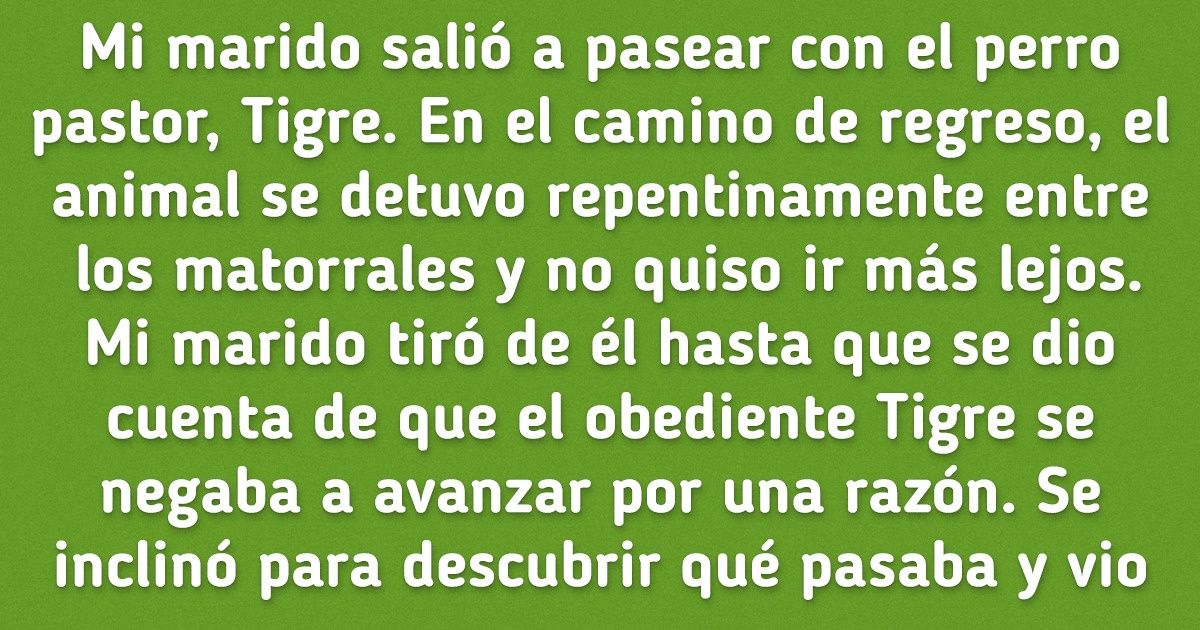 15 Errores de crianza que pueden costarle muy caro a cualquier dueño de perros 15 Errores de crianza que pueden costarle muy caro a cualquier dueño de perros