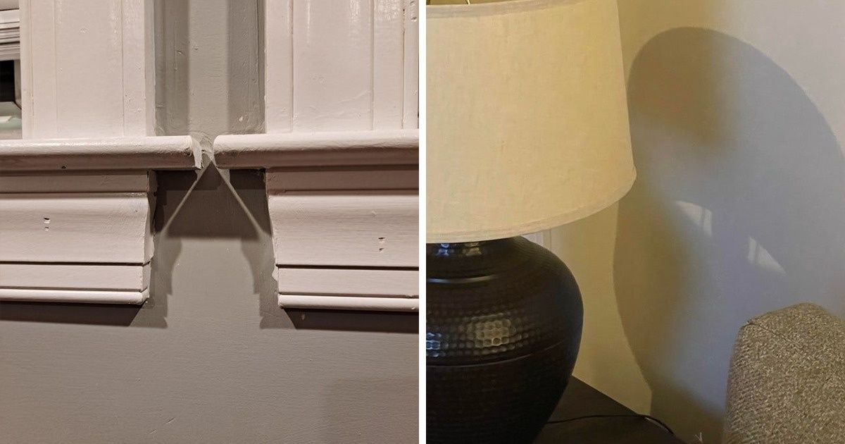 18 Veces en que las sombras engañaron a nuestra vista 18 Veces en que las sombras engañaron a nuestra vista