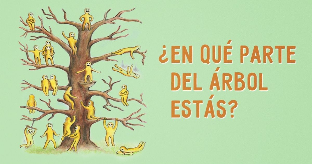¿En qué parte del árbol estás?