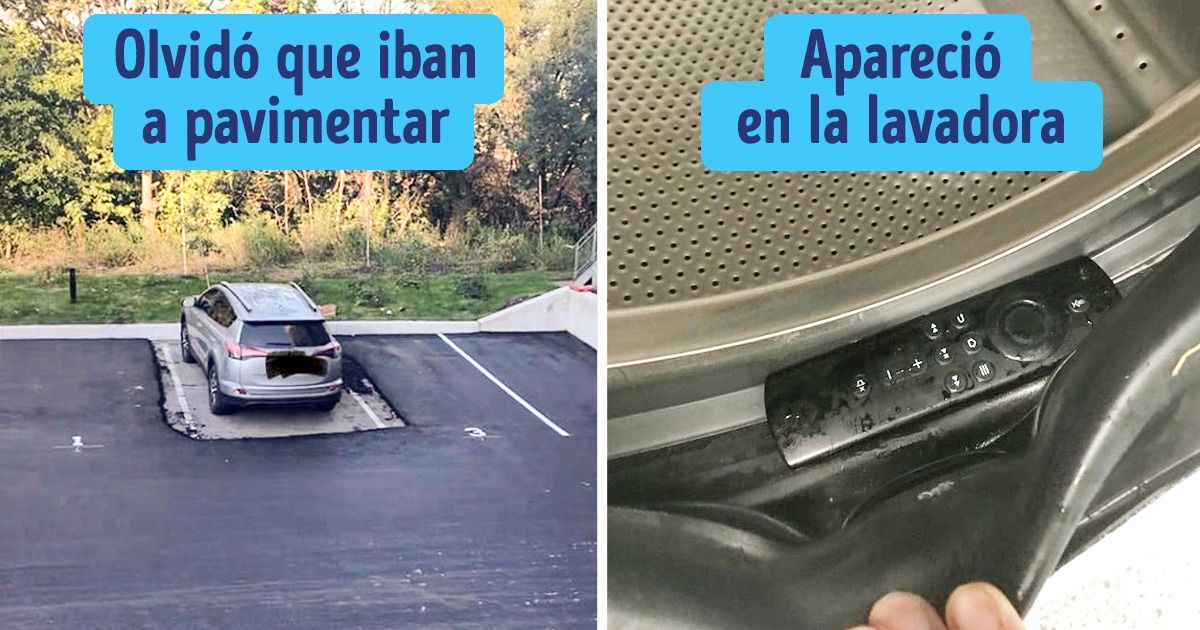 18 Despistados que podrían perder la cabeza si no la tuvieran pegada al cuerpo 18 Despistados que podrían perder la cabeza si no la tuvieran pegada al cuerpo