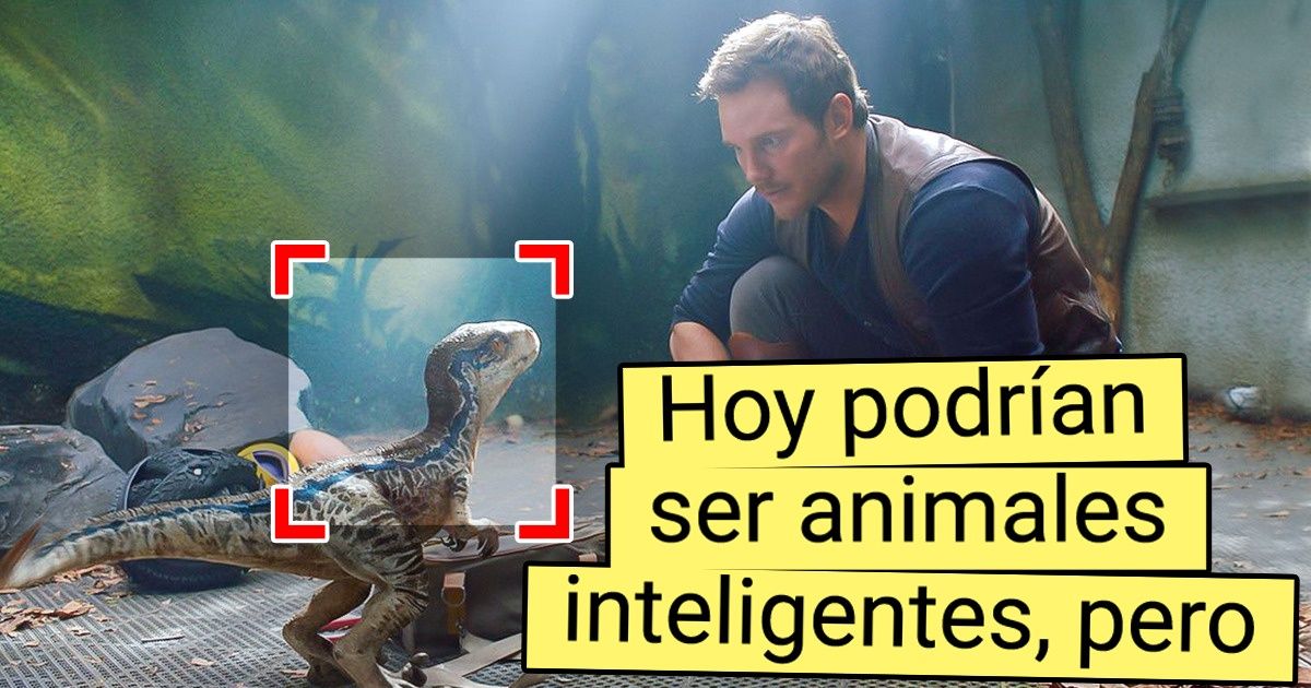 Pensamos qué hubiera pasado si los dinosaurios no se hubieran extinguido Pensamos qué hubiera pasado si los dinosaurios no se hubieran extinguido