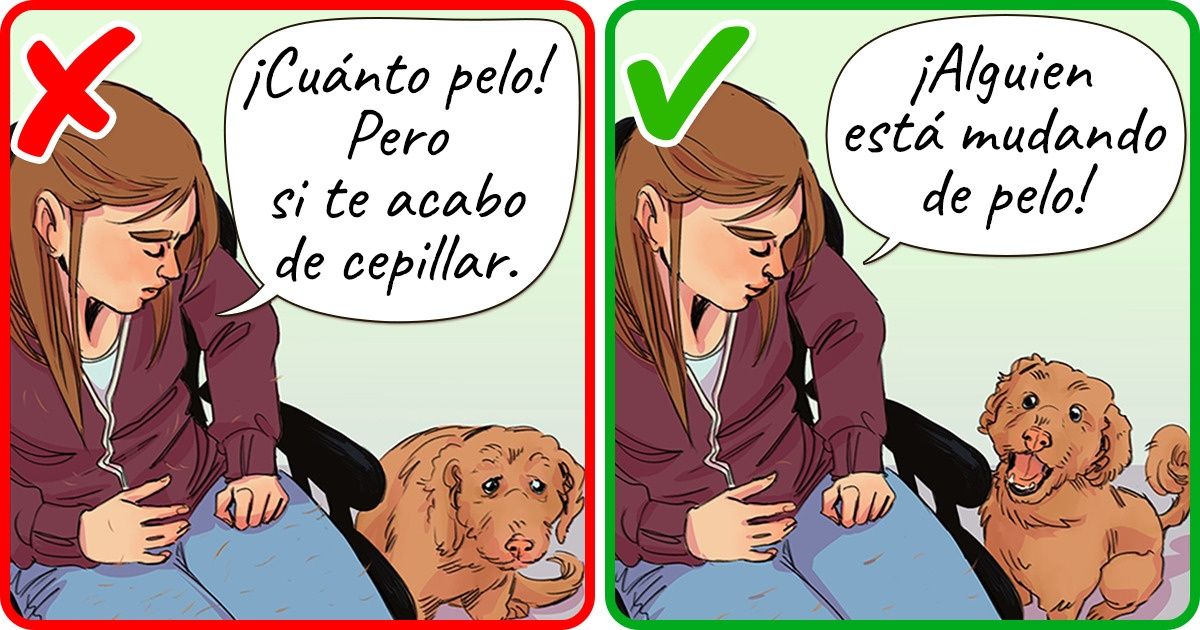 10 Señales y comportamientos con los que nuestro perro nos comunica que está estresado 10 Señales y comportamientos con los que nuestro perro nos comunica que está estresado