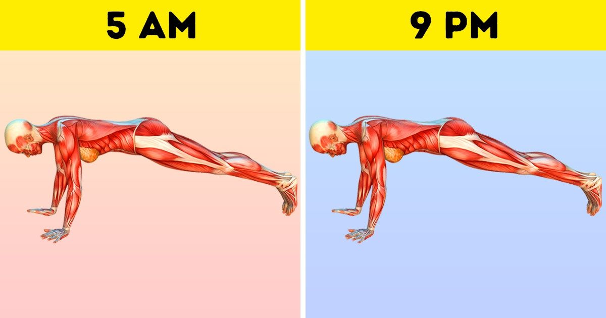 6 Ejercicios para quemar grasa perfectos para principiantes 6 Ejercicios para quemar grasa perfectos para principiantes
