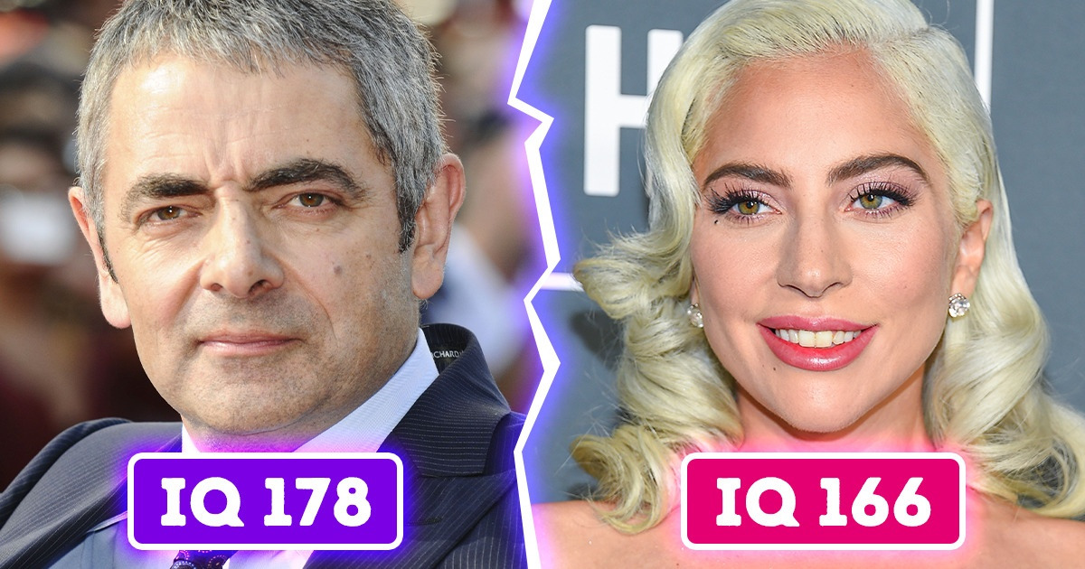 8 Estrellas de Hollywood cuya inteligencia es tan brillante como su carrera 8 Estrellas de Hollywood cuya inteligencia es tan brillante como su carrera