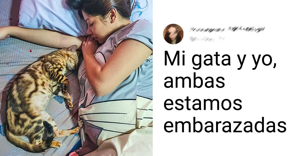 22 Mascotas que demostraron todo su cariño a sus dueñas embarazadas 22 Mascotas que demostraron todo su cariño a sus dueñas embarazadas