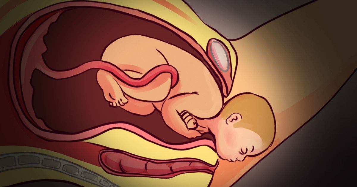 9 Datos fascinantes sobre el embarazo que muestran que el cuerpo de una mujer nunca deja de sorprendernos
