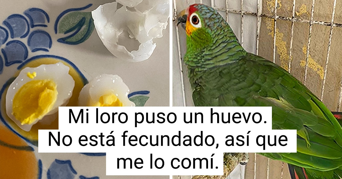 16 Personas que tuvieron la suerte de poder ver el lado secreto de las cosas