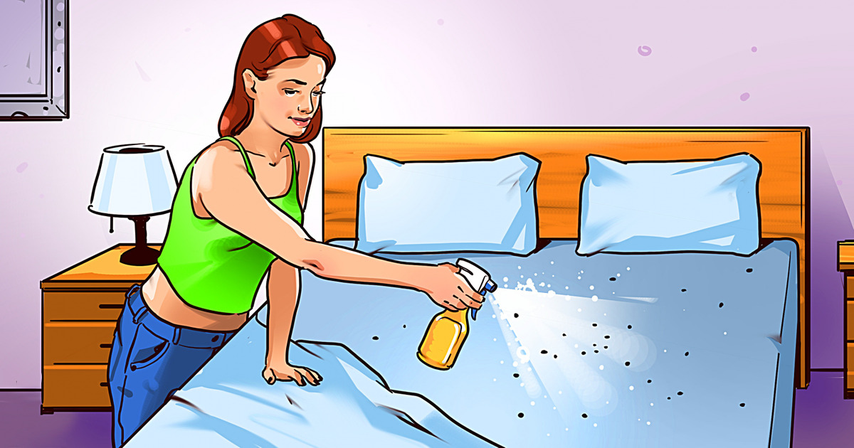 12 maneras de eliminar las de la cama para