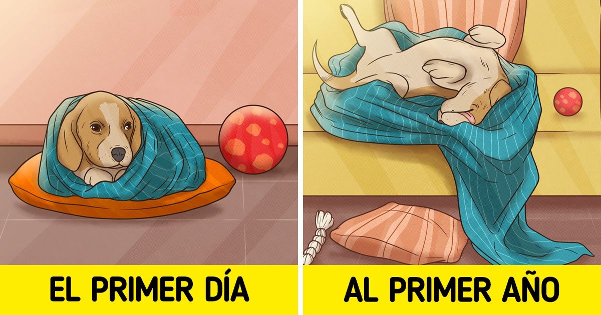 12 Ilustraciones que cuentan cómo cambian nuestros perros con la edad y solo se vuelven más adorables
