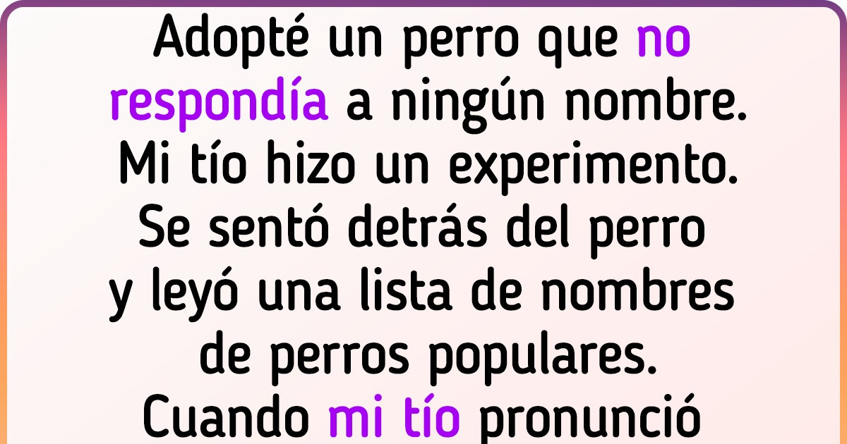 25+ Pequeños esponjosos a los que inventarles un nombre resultó más difícil que correr una maratón