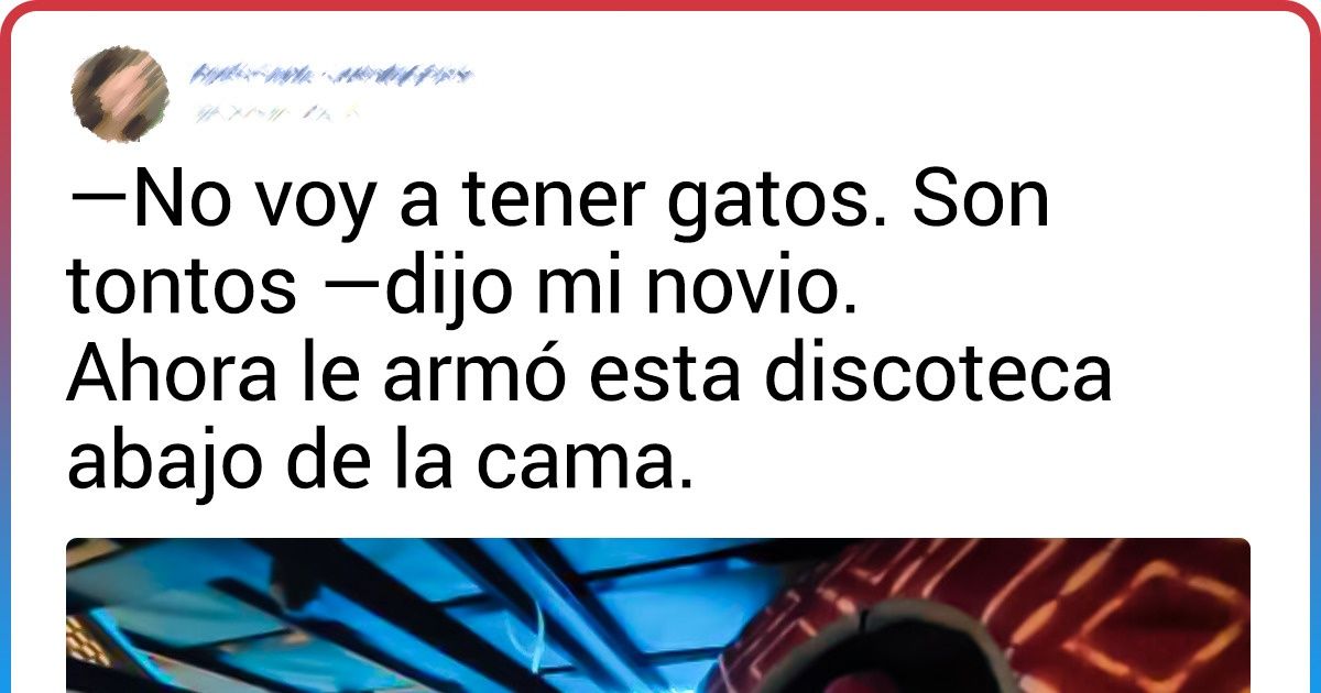 20 Animales que robaron el corazón de quienes se hubieran declarado como “antimascotas” antes de conocerlos 20 Animales que robaron el corazón de quienes se hubieran declarado como “antimascotas” antes de conocerlos