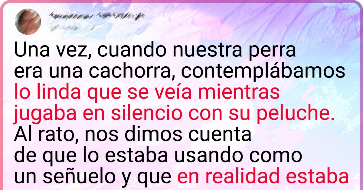 20 Dueños que pasaron del cielo al infierno al presenciar un cambio de humor en sus mascotas 20 Dueños que pasaron del cielo al infierno al presenciar un cambio de humor en sus mascotas