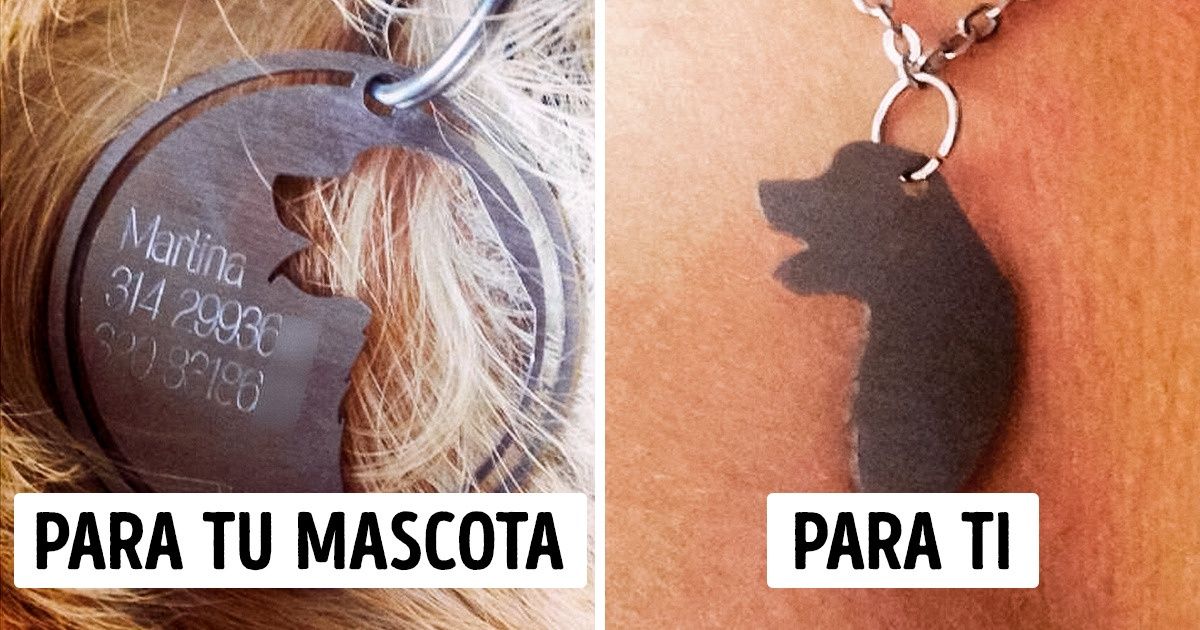 4 Maneras de demostrar tu amor incondicional por tu mascota 4 Maneras de demostrar tu amor incondicional por tu mascota