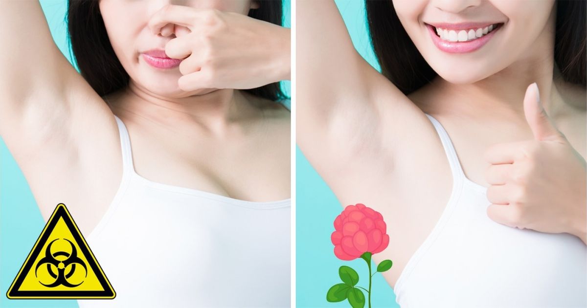 10 Alimentos que hacen que tu cuerpo huela bien 10 Alimentos que hacen que tu cuerpo huela bien