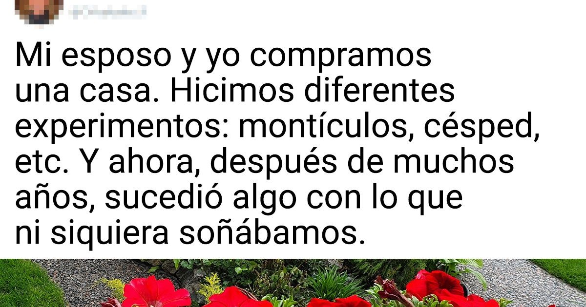 18 Personas que tuvieron la oportunidad de construir la casa de verano de sus sueños y la aprovecharon al máximo 18 Personas que tuvieron la oportunidad de construir la casa de verano de sus sueños y la aprovecharon al máximo