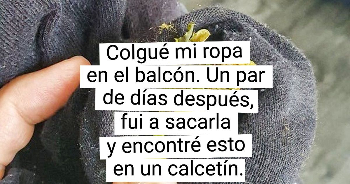 15 Casos en que la gente se olvidó de algo y luego de repente lo recordó y se quedó atónita 15 Casos en que la gente se olvidó de algo y luego de repente lo recordó y se quedó atónita