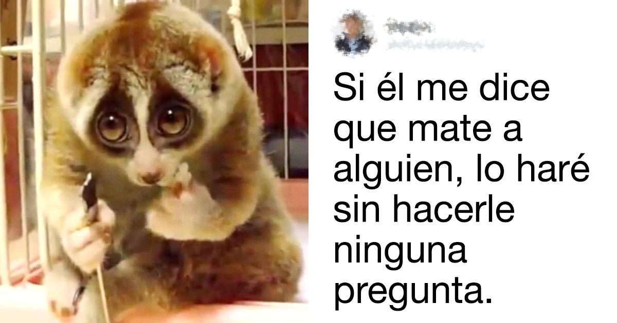 16 Comentarios de los dueños de las lenguas más filosas de Internet 16 Comentarios de los dueños de las lenguas más filosas de Internet