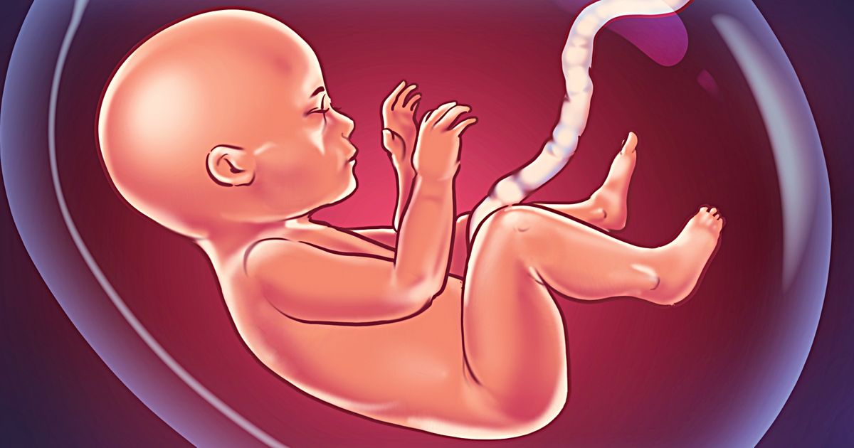 Cosas que los bebés disfrutan mucho cuando están en el útero
