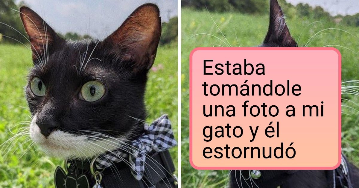 18 Fotos que fueron tomadas en el momento más oportuno