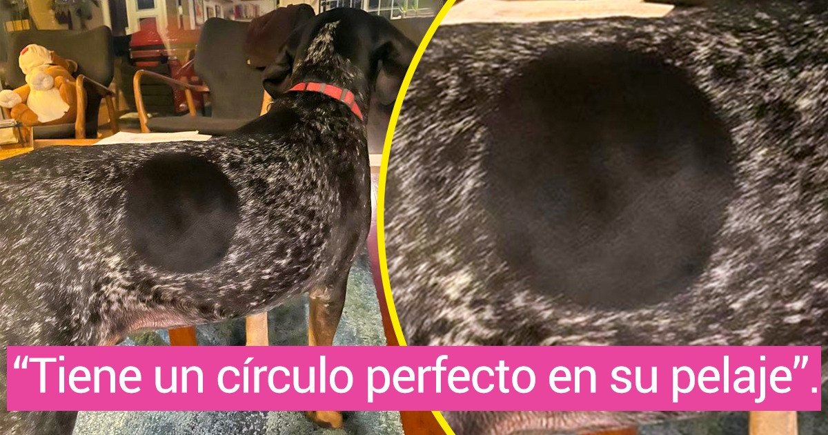 20 Cosas que fueron hechas para que nuestro perfeccionista interior diga: “¡Gracias!”