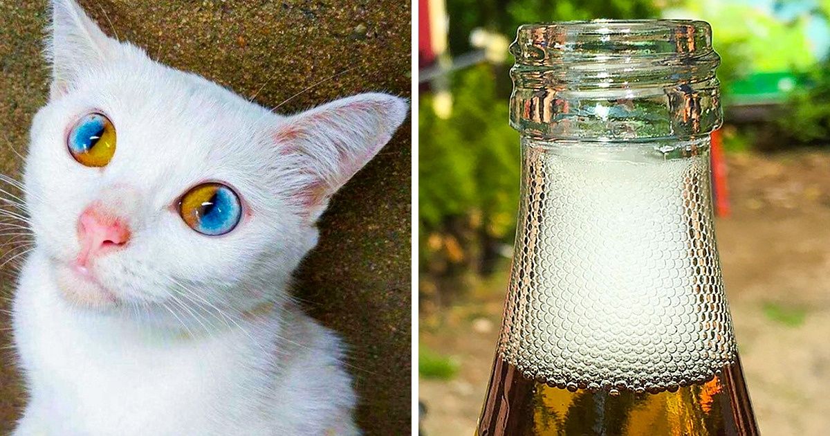 25 Fotografías curiosas que simplemente son imposibles de olvidar