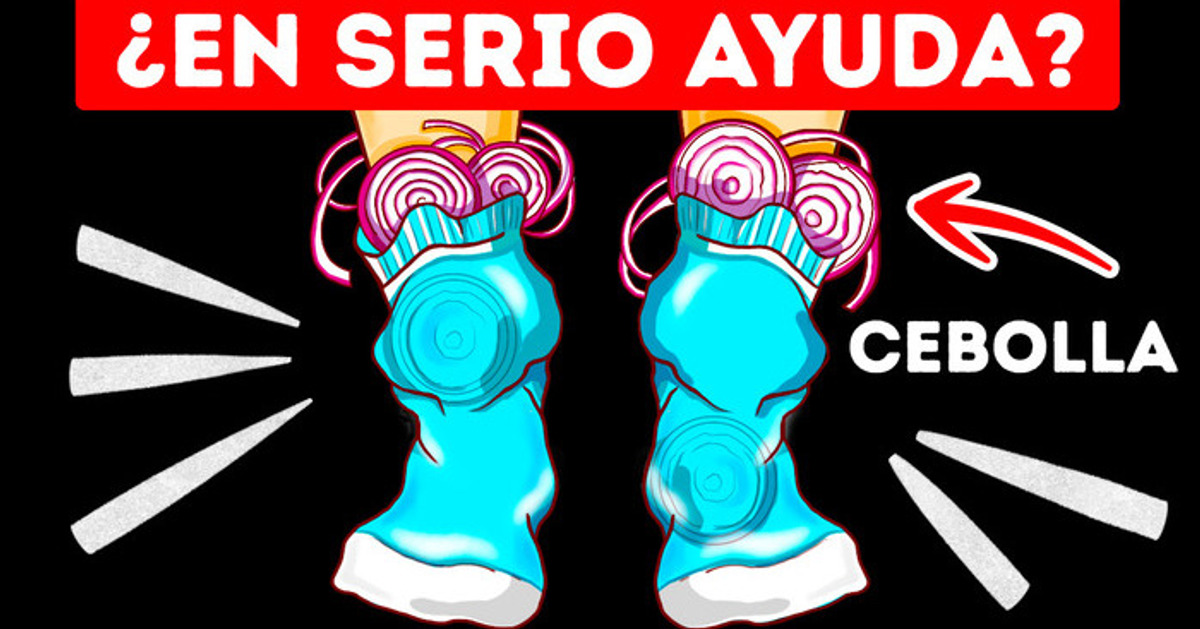 Qué sucede si dejas una cebolla en tu calcetín por una noche Qué sucede si dejas una cebolla en tu calcetín por una noche