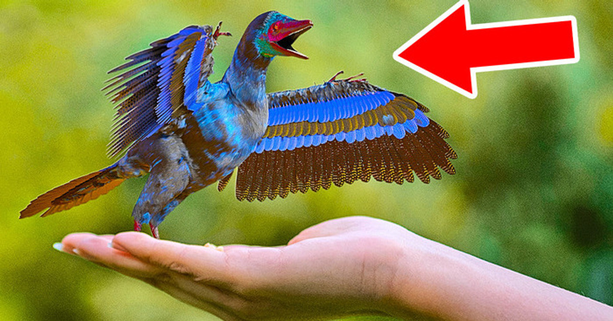 El dinosaurio más pequeño del mundo podría haber sido 30 veces más chico que tu gato