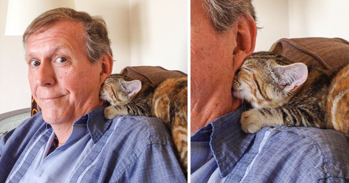18 Animales que no necesitan hablar para expresar sus sentimientos 18 Animales que no necesitan hablar para expresar sus sentimientos