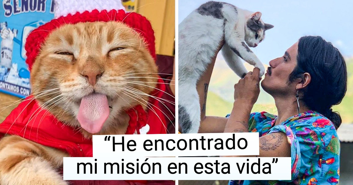 Un tiktoker latino se ha convertido en el rostro y el defensor de los gatitos Un tiktoker latino se ha convertido en el rostro y el defensor de los gatitos