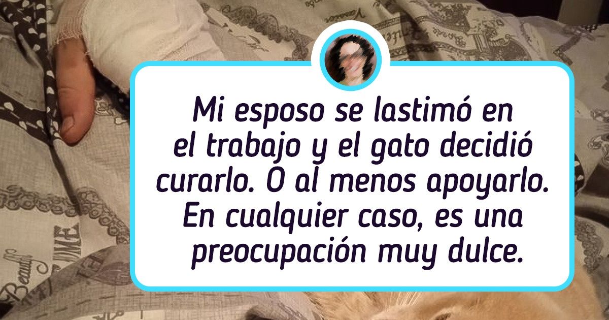 13 Veces en que alguien ha alcanzado el nivel “maestro” en el cuidado de los demás