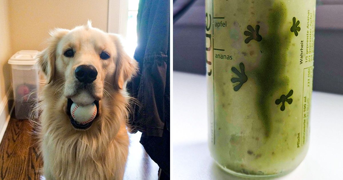 20 Fotos que hay que mirar de cerca para entender qué está sucediendo